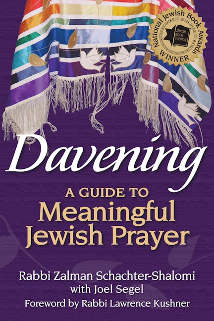 Book cover image for Davening ISBN: 9781580236270